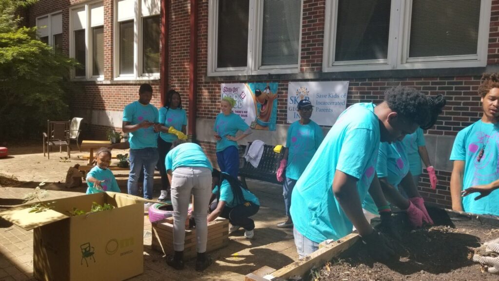 volunteers gardening in matching blue shirts